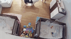 2017年刷曝朋友圈的十五大感人瞬間,不能看,真的會哭!